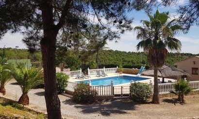 Resale - Villa - El Esparragal