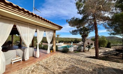 Resale - Villa - El Esparragal