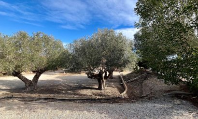 Resale - Villa - El Esparragal