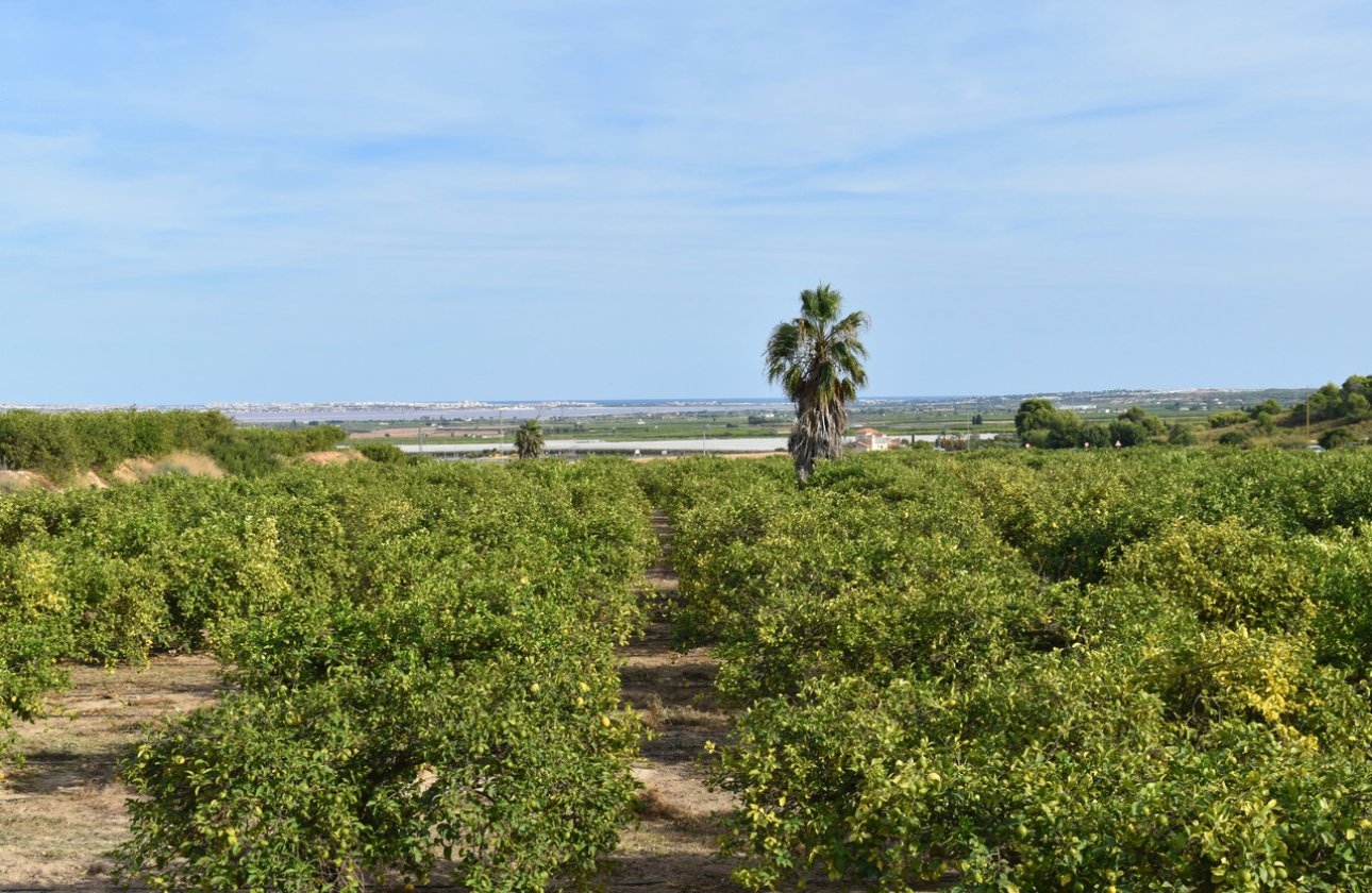 Revente - Villa - Torremendo