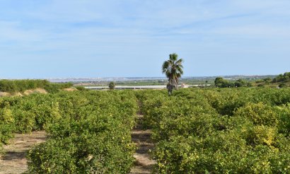 Revente - Villa - Torremendo