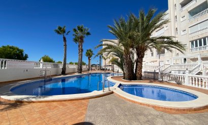 Resale - Apartment / flat - Guardamar del Segura - El Edén