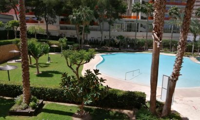 Revente - Appartement - Benidorm - Rincón de Loix