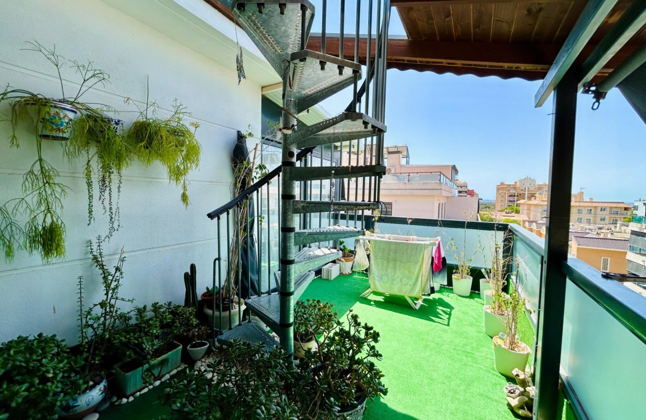 Revente - Appartement - Elche - Campo de Fútbol