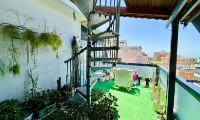 Revente - Appartement - Elche - Campo de Fútbol