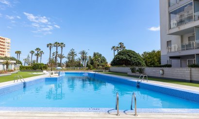Revente - Appartement - La Mata - Playa