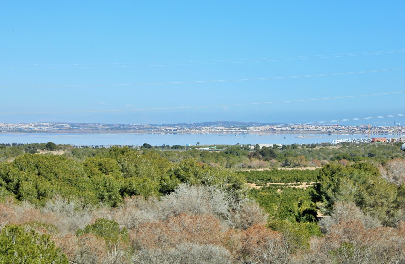 Revente - Villa - Villamartin - Villamartín