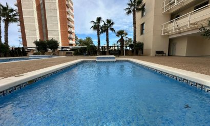Revente - Appartement - Torrevieja - La veleta