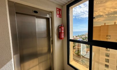 Revente - Appartement - Torrevieja - La veleta
