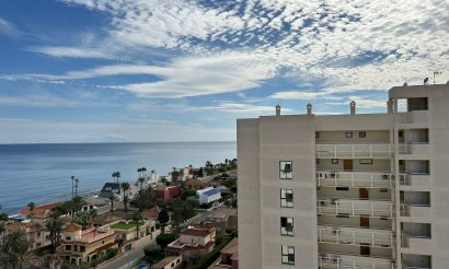 Revente - Appartement - Torrevieja - La veleta