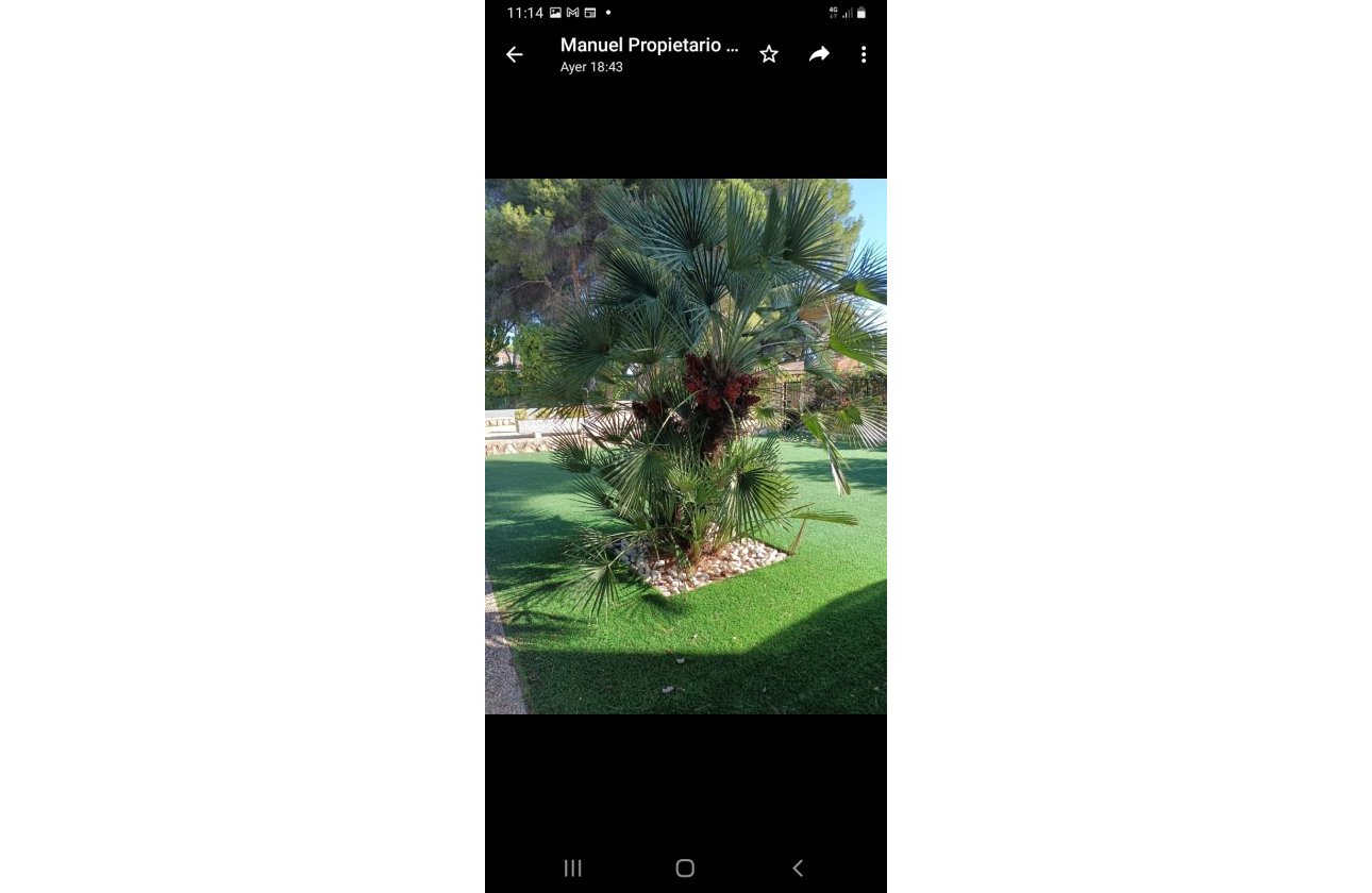 Resale - Villa - Campoamor