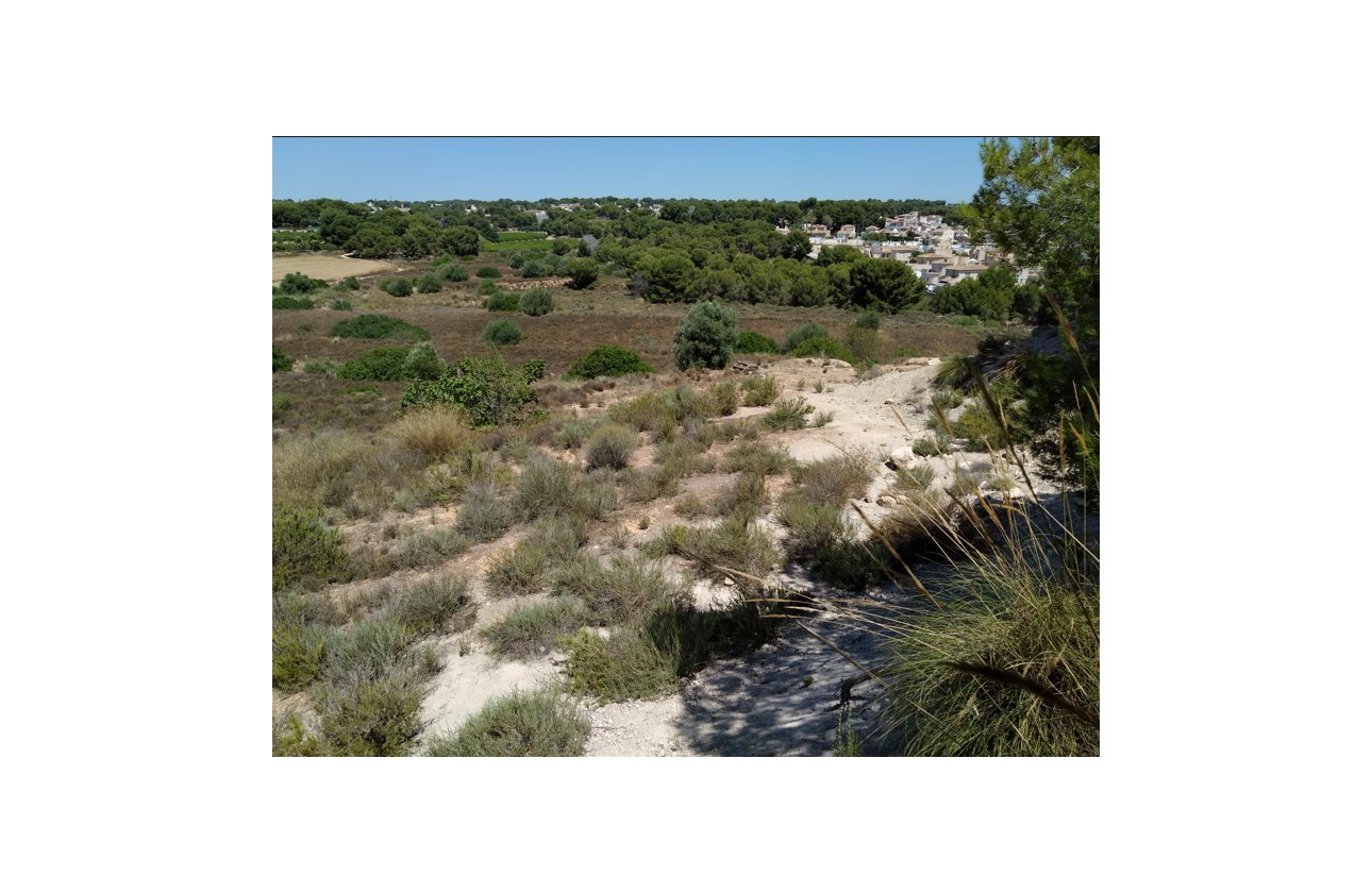 Reventa - Parcela / Terreno - Pinar de Campoverde