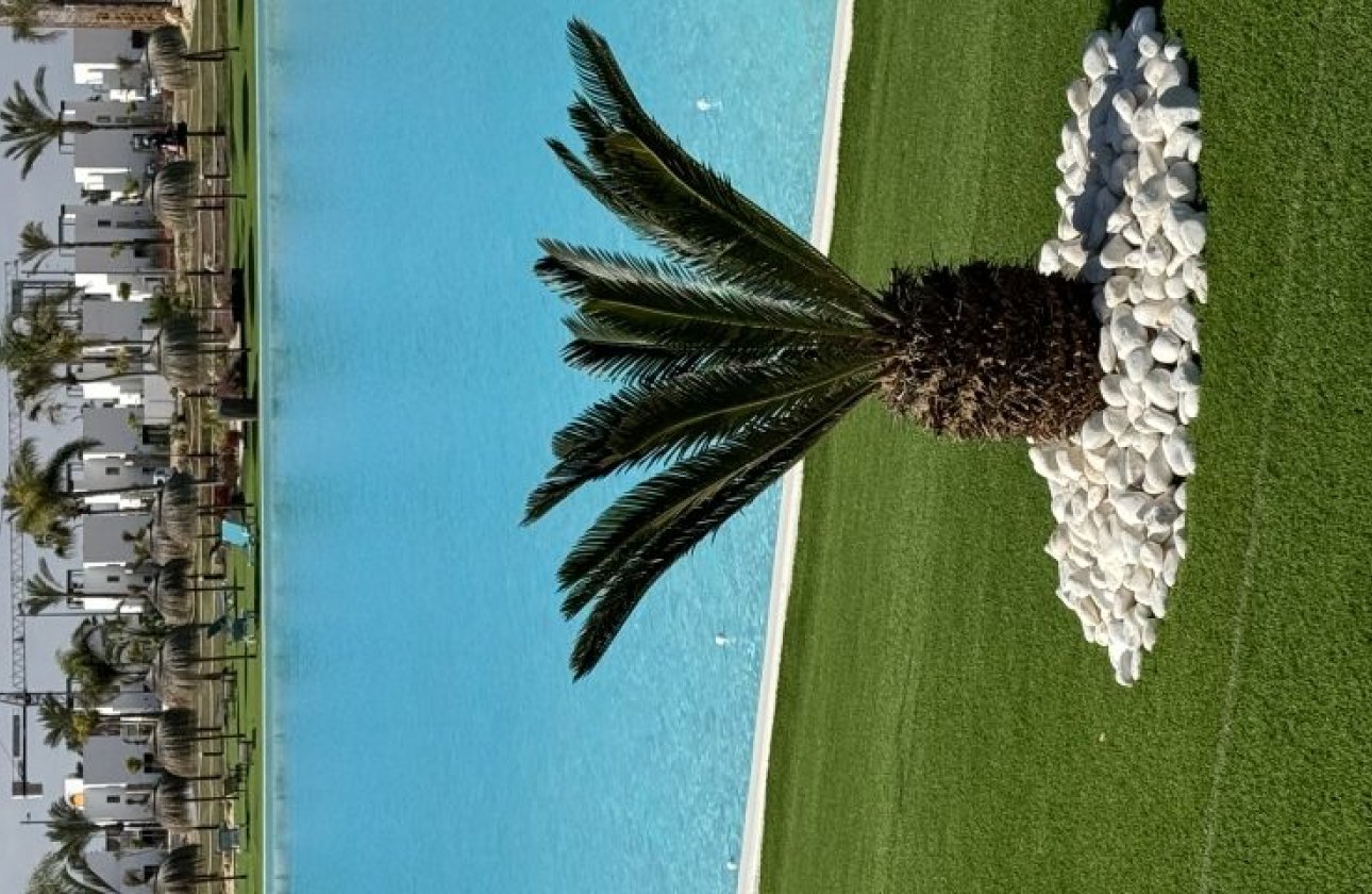 Resale - Apartment / flat - Torre Pacheco