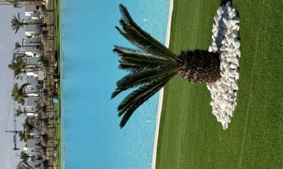 Resale - Apartment / flat - Torre Pacheco