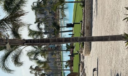 Resale - Apartment / flat - Torre Pacheco
