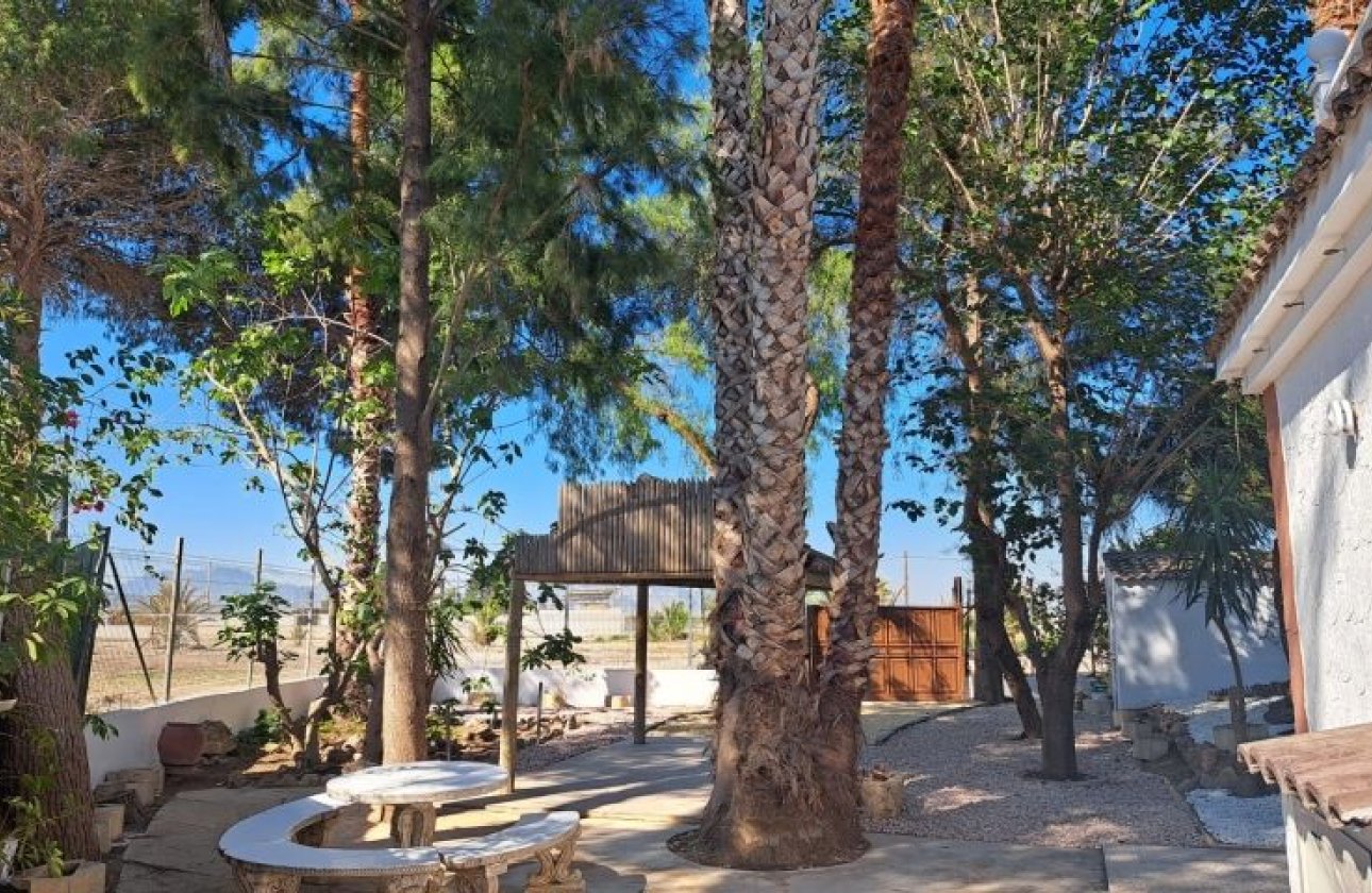 Revente - Villa - Orihuela Costa - Orihuela