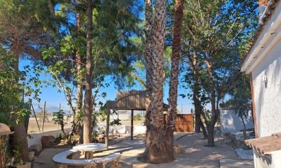 Revente - Villa - Orihuela Costa - Orihuela