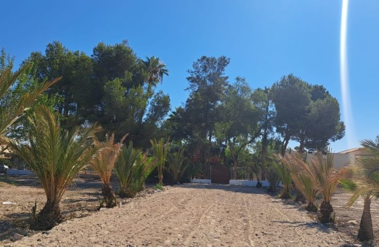 Revente - Villa - Orihuela Costa - Orihuela
