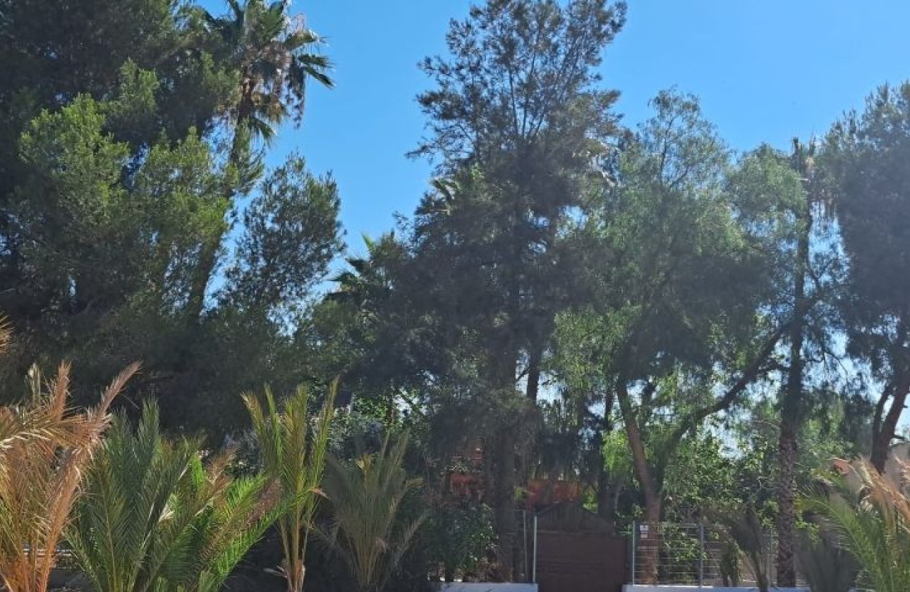 Revente - Villa - Orihuela Costa - Orihuela