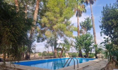 Revente - Villa - Orihuela Costa - Orihuela