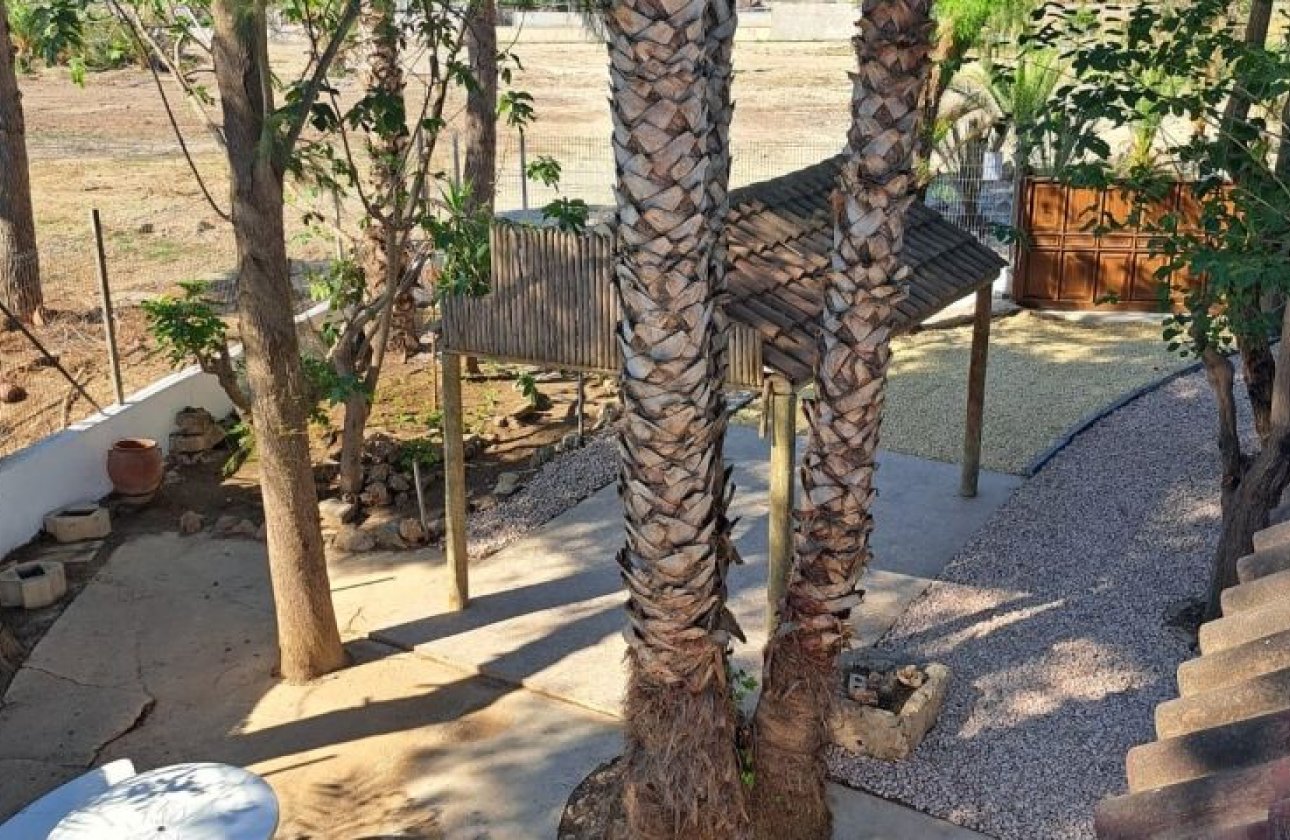Revente - Villa - Orihuela Costa - Orihuela