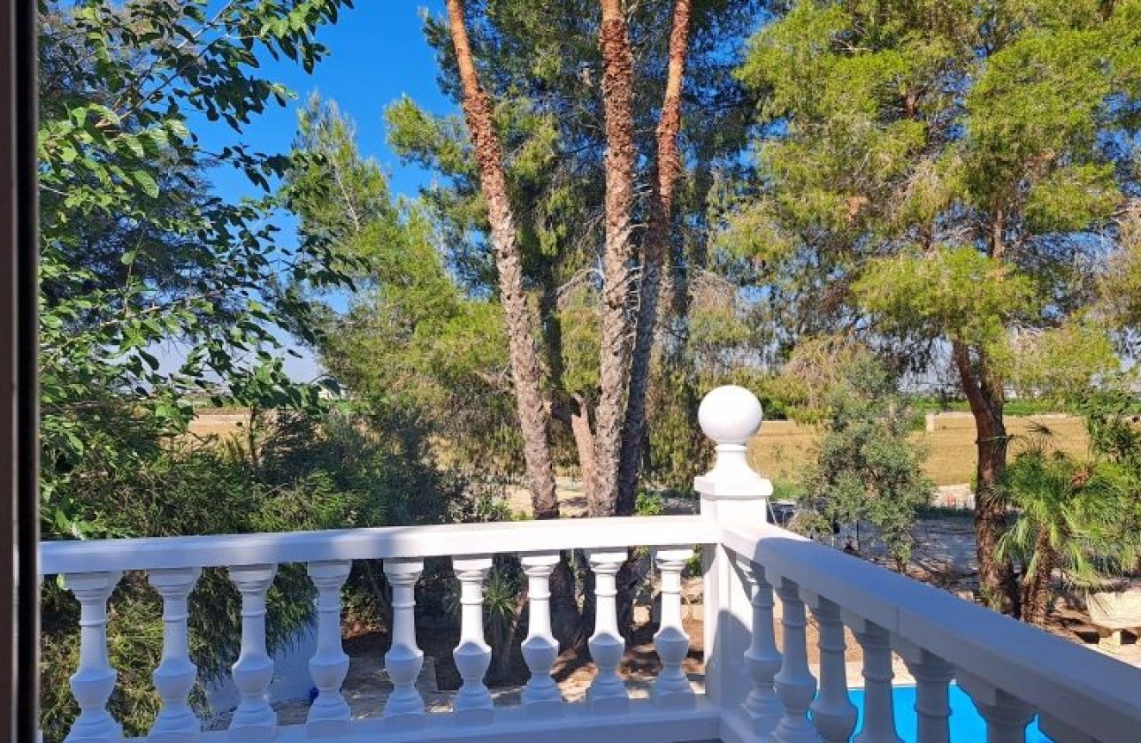 Revente - Villa - Orihuela Costa - Orihuela