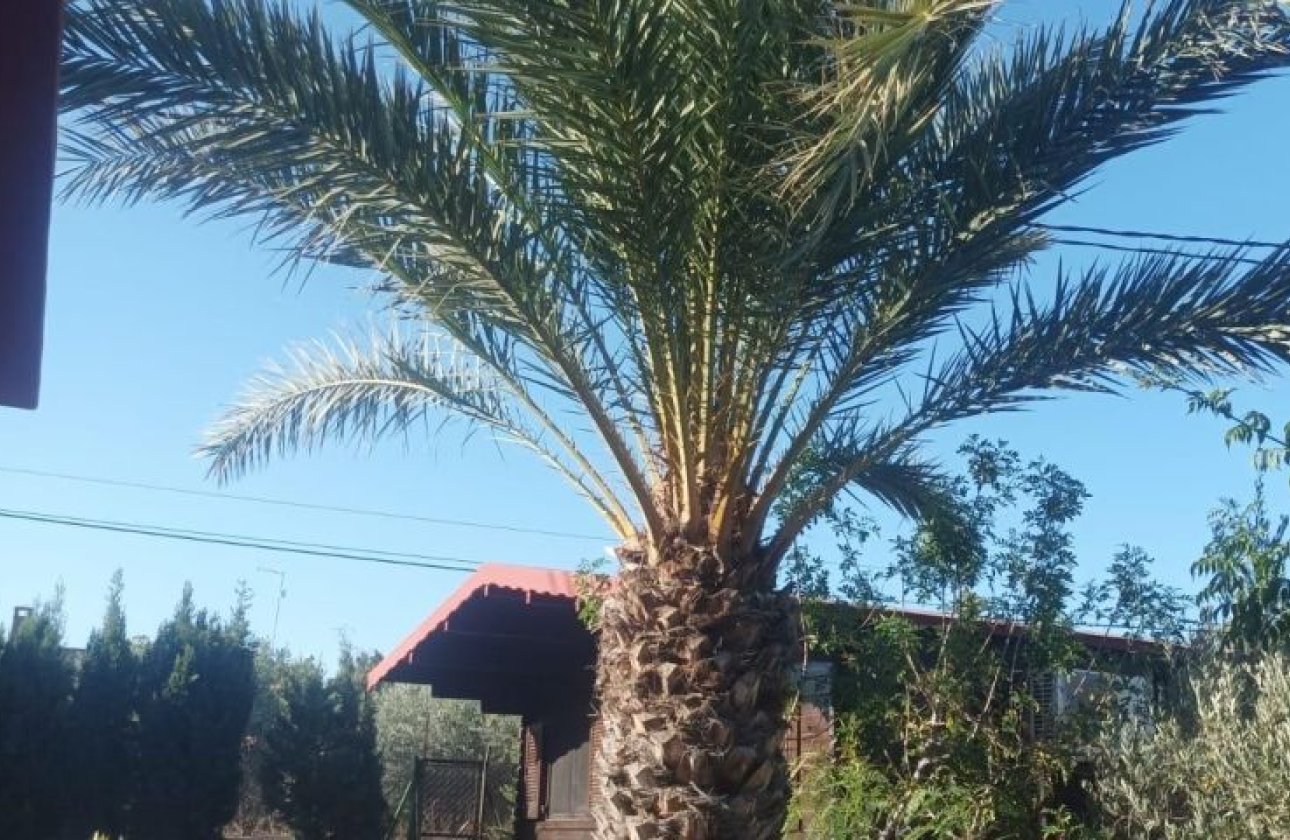 Resale - Villa - Elche