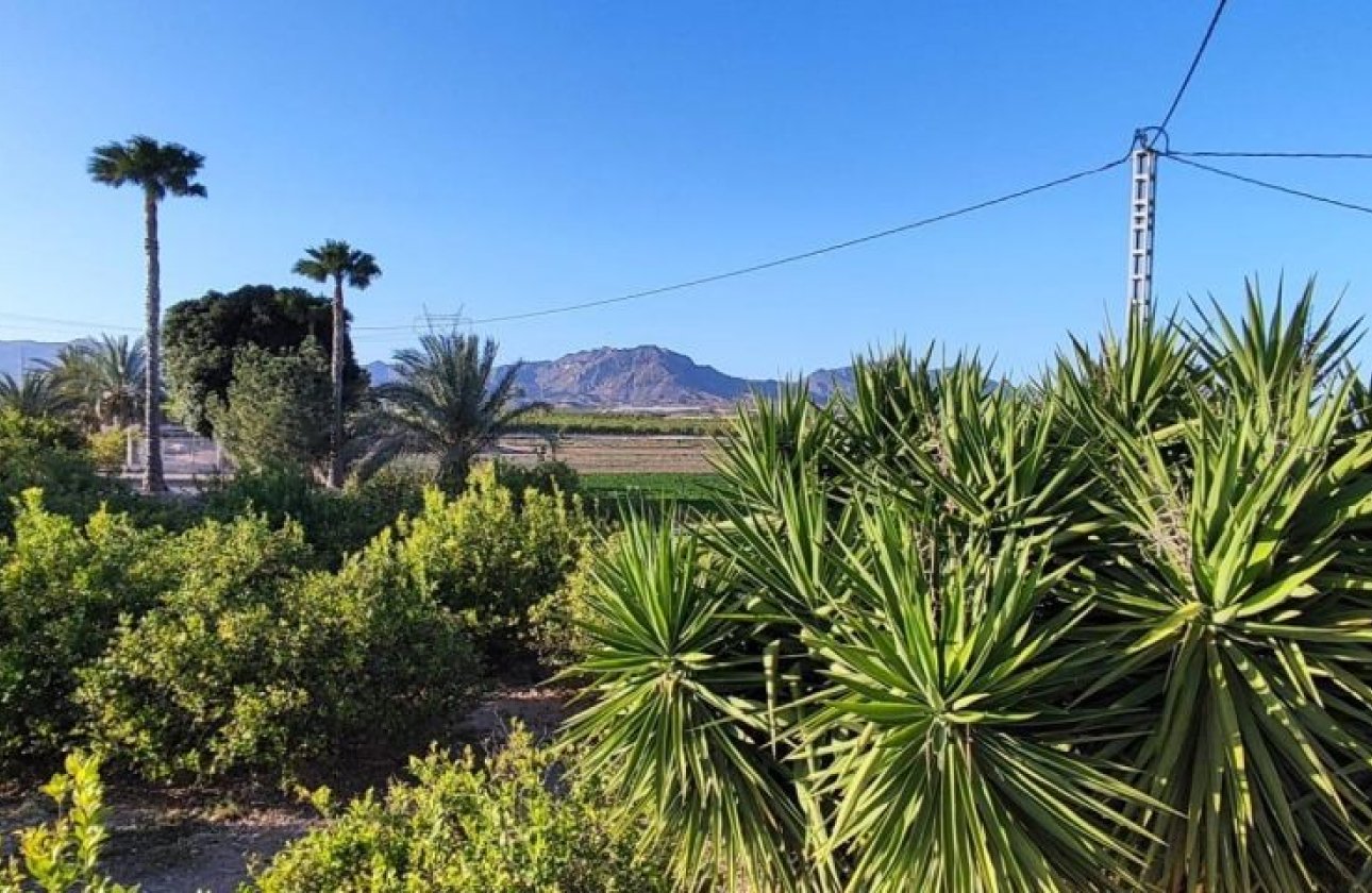 Revente - Villa - Orihuela Costa - Orihuela