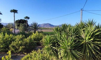 Revente - Villa - Orihuela Costa - Orihuela
