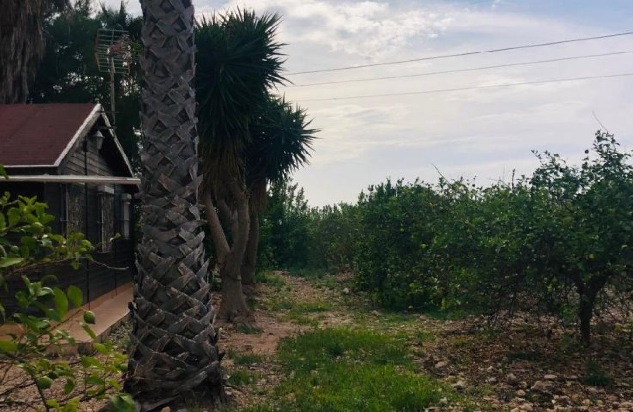 Revente - Villa - Orihuela Costa - Orihuela