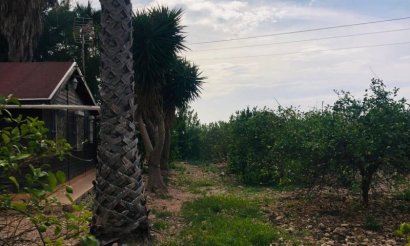 Revente - Villa - Orihuela Costa - Orihuela