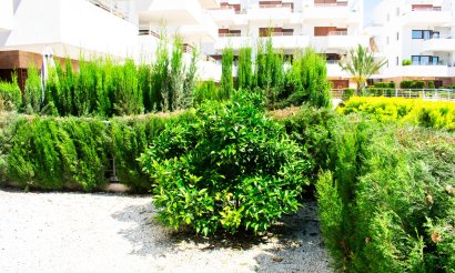 Revente - Appartement - Orihuela Costa - Cabo Roig