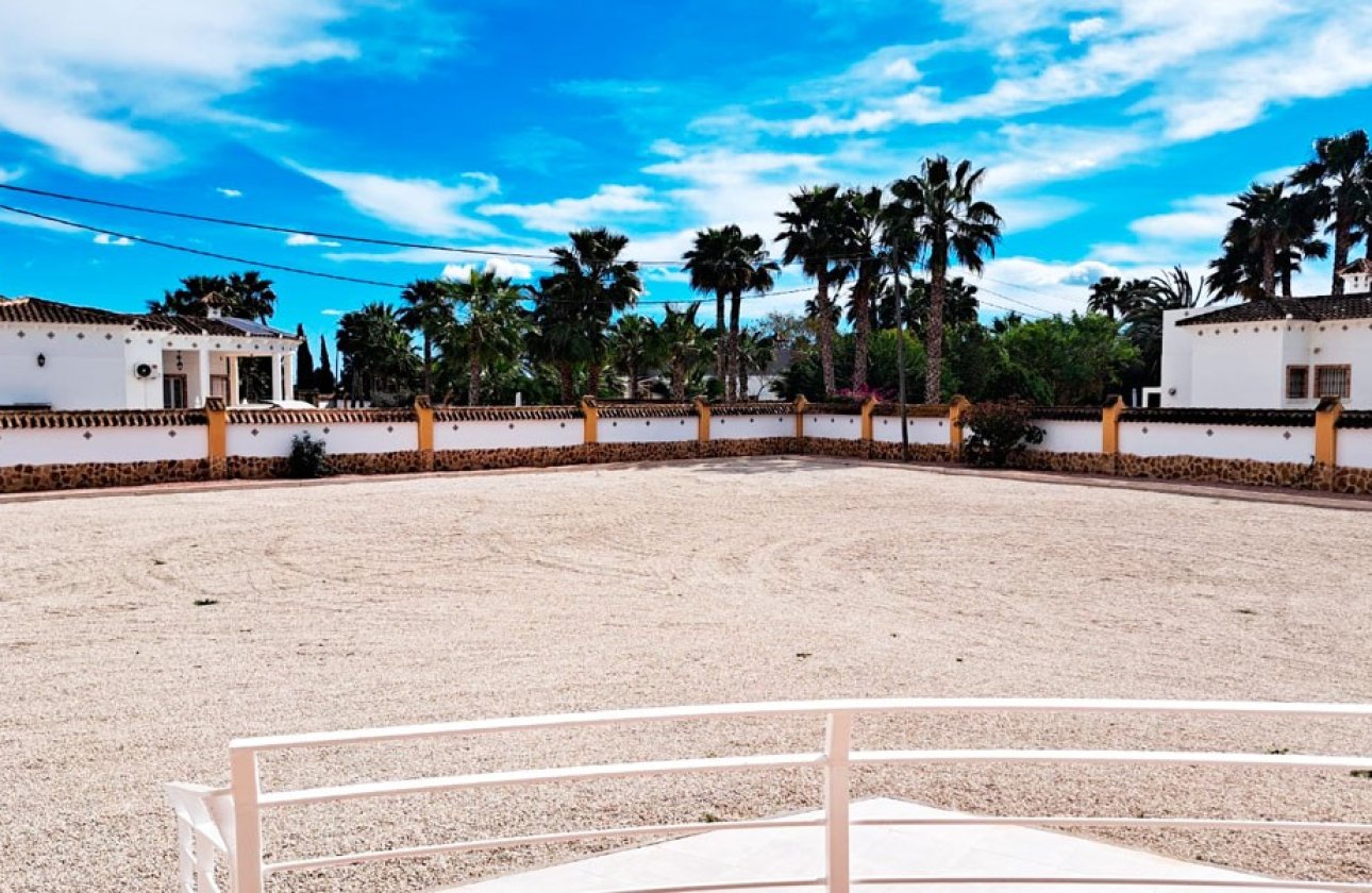 Revente - Villa - Catral - Catral - Country