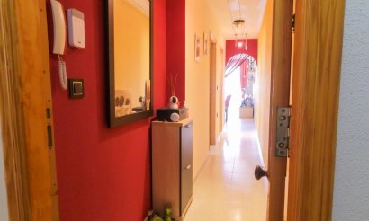 Revente - Appartement - Torrevieja - Torrevieja Centro
