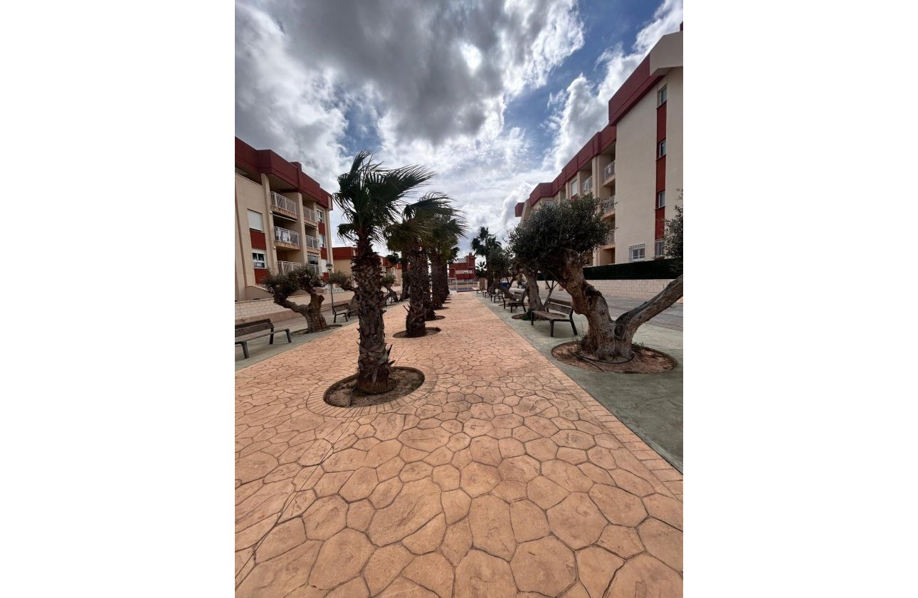 New Build - Penthouse - Orihuela Costa - Lomas de Cabo Roig
