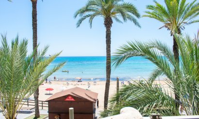 Resale - Apartment / flat - Torrevieja - Playa del Cura