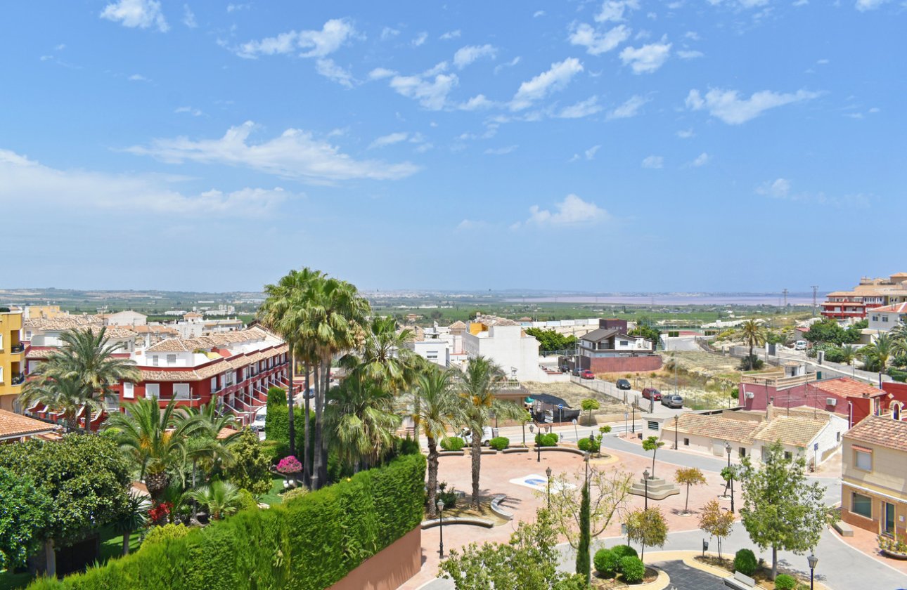 Resale - Apartment / flat - San Miguel de Salinas