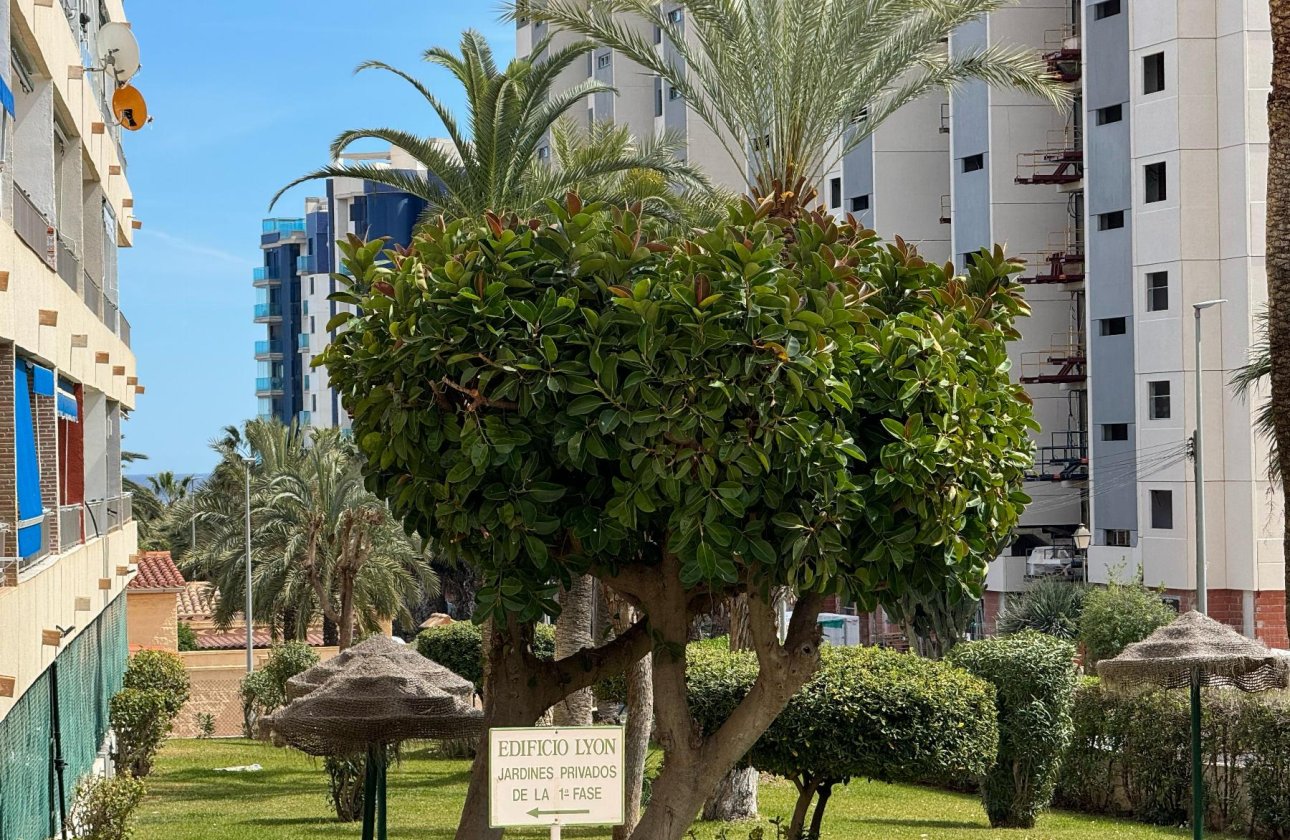 Resale - Apartment / flat - Torrevieja - Punta Prima