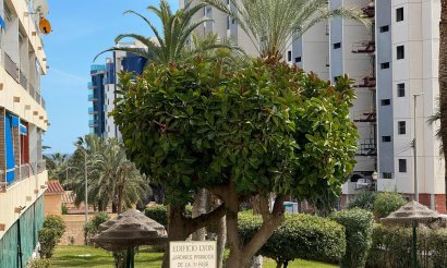 Resale - Apartment / flat - Torrevieja - Punta Prima