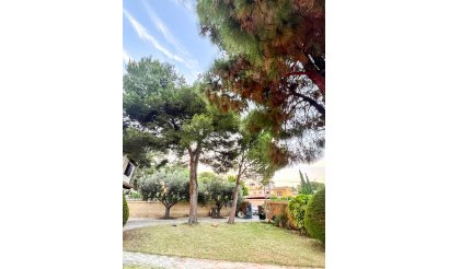Resale - Villa / Semi detached - Orihuela Costa - Punta Prima