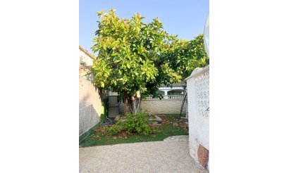 Resale - Villa / Semi detached - Orihuela Costa - Punta Prima
