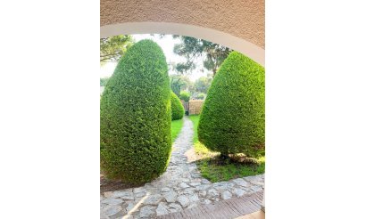 Resale - Villa / Semi detached - Orihuela Costa - Punta Prima