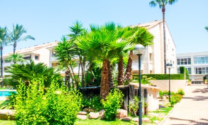 Resale - Apartment / flat - Arenales del Sol - Platja de l\'Arenal