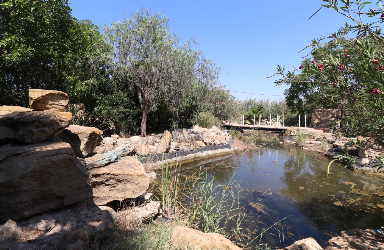 Resale - Villa - Catral - Catral - Country