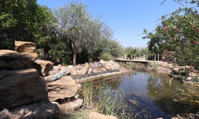 Resale - Villa - Catral - Catral - Country