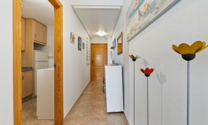 Resale - Apartment / flat - Orihuela Costa - Campoamor