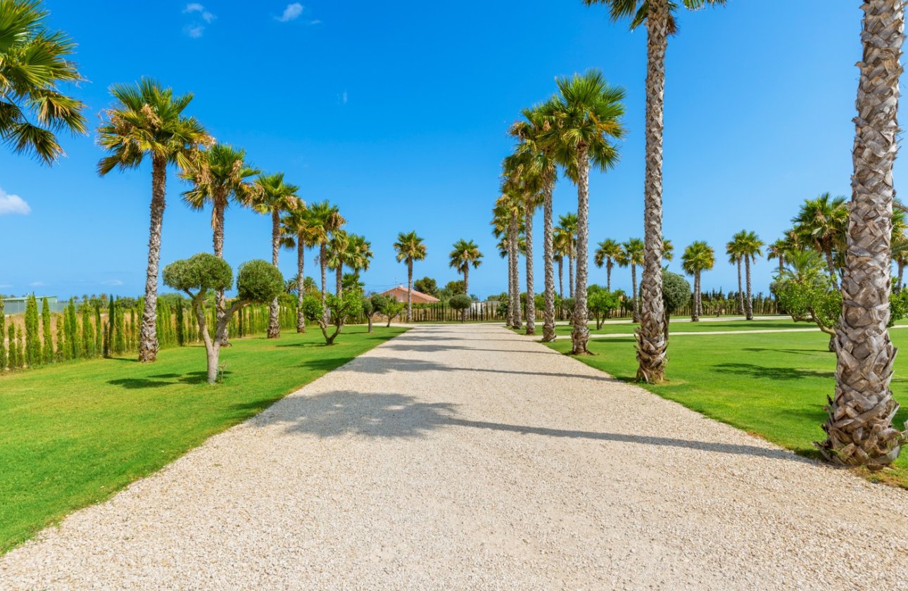 Resale - Villa - Elche - Elche/Elx