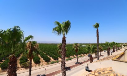 Resale - Townhouse - Algorfa - La Finca Golf Resort