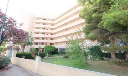 Revente - Commercial - Orihuela Costa - La Zenia