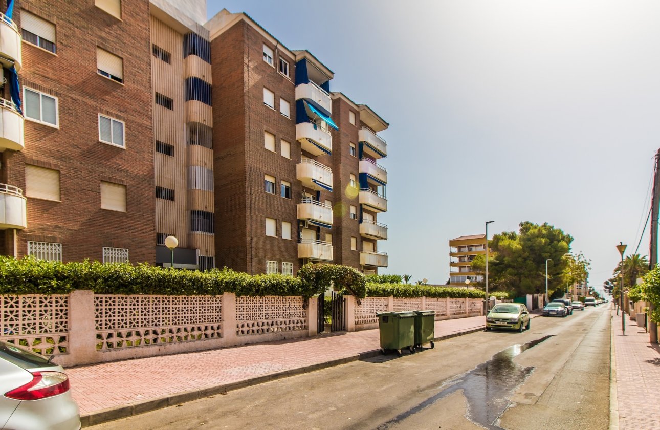 Long Term Rental - Apartment / flat - Torrevieja - Punta Prima